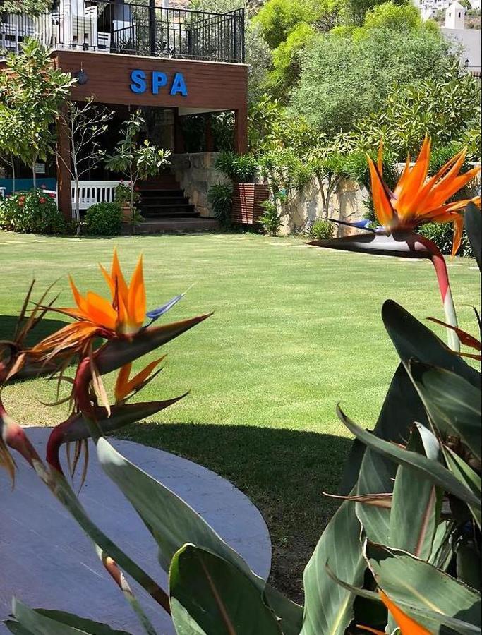 Liona Hotel & Spa グンドーガン エクステリア 写真